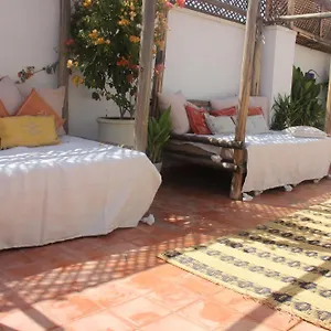 Dar Nael Riad